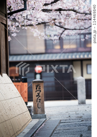 祇園白川の春 114469840