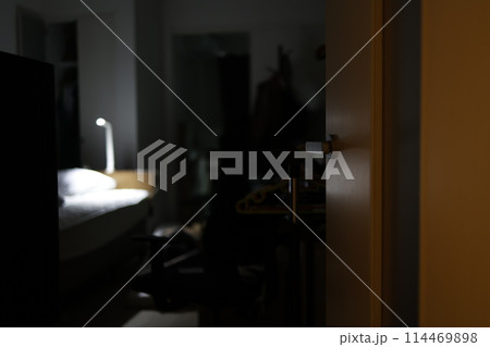 ベッドの電気だけがついた部屋 ベッドの電気だけがついた部屋 114469898