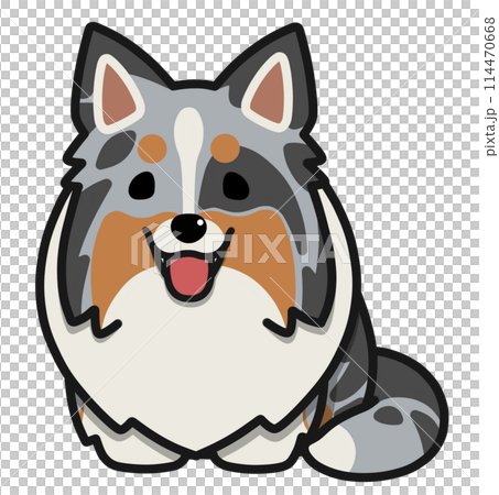 一隻立耳喜樂蒂（藍色隕石色）張著嘴坐著 114470668