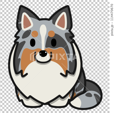 Sitting sheltie with upright ears (blue merle) Sitting sheltie with upright ears (blue merle) 114470670