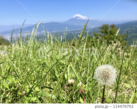 伊豆スカイライン西丹那駐車場から望む富士山 114470702