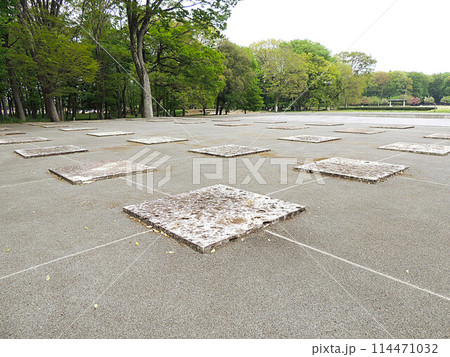 下野国分寺 金堂跡 下野国分寺 金堂跡 114471032