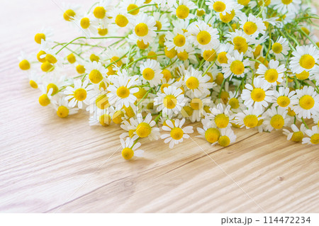 木目の背景にカモミールの花束のフレーム 木目の背景にカモミールの花束のフレーム 114472234