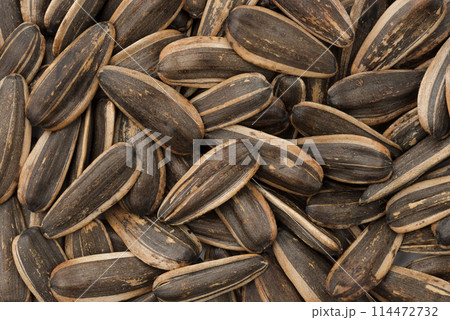 Roasted sunflower seeds Roasted sunflower seeds 114472732