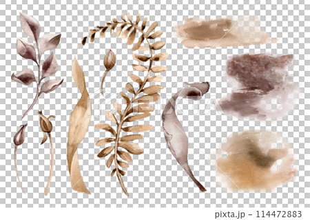 Leaves and branch in monochrome sepia watercolor set. Abstract plants in sienna color isolated on white. Watercolor background. Elements for the design of branding , invitations, printed products Leaves and branch in monochrome sepia watercolor set. Abstract plants in sienna color isolated on white. Watercolor background. Elements for the design of branding , invitations, printed products 114472883