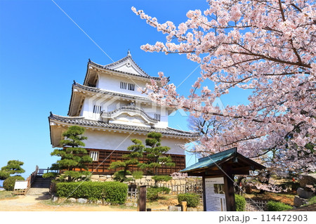 【香川県】桜咲く春の丸亀城（現存天守と石垣の名城） 114472903
