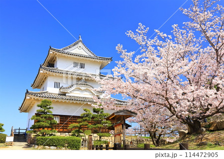 【香川県】桜咲く春の丸亀城（現存天守と石垣の名城） 114472905