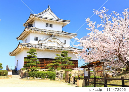 【香川県】桜咲く春の丸亀城(現存天守と石垣の名城) 【香川県】桜咲く春の丸亀城(現存天守と石垣の名城) 114472906