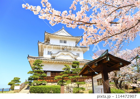 【香川県】桜咲く春の丸亀城（現存天守と石垣の名城） 114472907