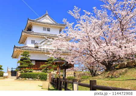 【香川県】桜咲く春の丸亀城（現存天守と石垣の名城） 114472908