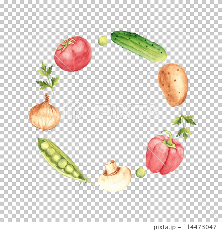 Vegetables Watercolor Wreath, circle round Frame. Botanical vegetable hand drawn watercolor illustration isolated on white background. Can be used for cards, logos and food design. Vintage stile. Vegetables Watercolor Wreath, circle round Frame. Botanical vegetable hand drawn watercolor illustration isolated on white background. Can be used for cards, logos and food design. Vintage stile. 114473047