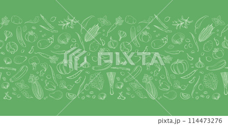 Colorful Hand-Drawn Vegetables border Pattern for Healthy Living. 114473276