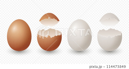 Vector 3d Realistic Brown and White Chicken Eggs. Broken Chicken Egg, Cracked Two Parts, Opened Crack Raw Chicken Egg With Yolk Closeup Isolated. Vector Eggs Isolated. Half Egg in Front View 114473849