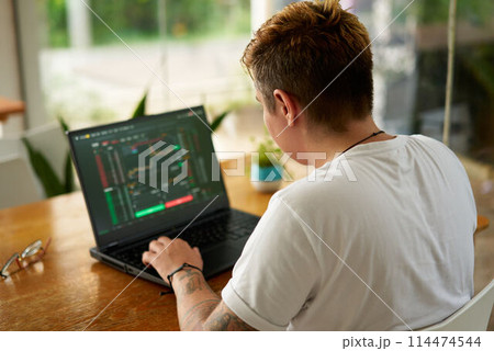 Person analyzes financial markets on laptop with charts. Gender inclusive investor focused, trades in modern home office. Casual workday fintech professional. Analysis, strategy comfy surroundings. Person analyzes financial markets on laptop with charts. Gender inclusive investor focused, trades in modern home office. Casual workday fintech professional. Analysis, strategy comfy surroundings. 114474544