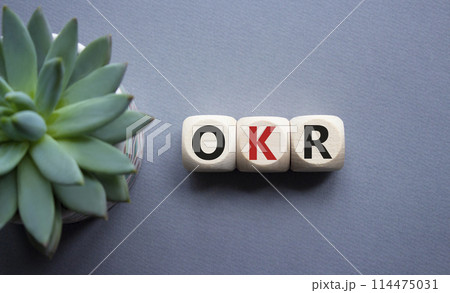 OKR objectives and key results symbol. Wooden cubes with words OKR objectives and key results. Beautiful grey background with succulent plant. Business and OKR concept. Copy space. 114475031
