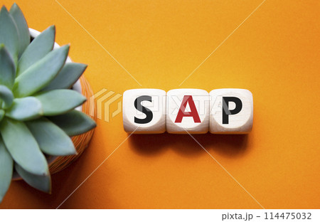 SAP - Systems Applications Products. Wooden cubes with word SAP. Beautiful orange background with succulent plant. Business and System Application Product concept. Copy space. 114475032