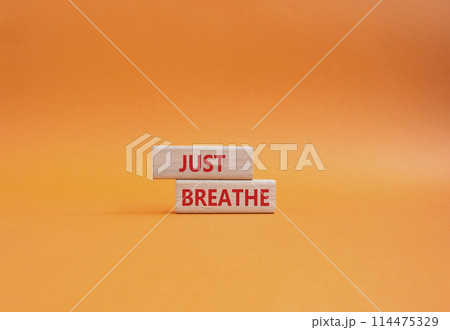 Just Breathe symbol. Wooden blocks with words Just Breathe. Beautiful orange background. Business and Just Breathe concept. Copy space. 114475329