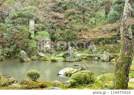 雨の蓮華寺 雨の蓮華寺 114475428