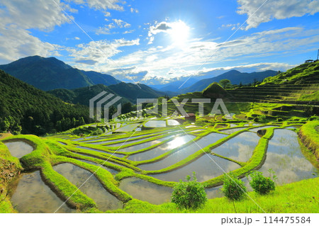 【三重県】田植え時期の丸山千枚田 114475584