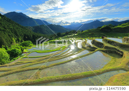 【三重県】田植え時期の丸山千枚田 【三重県】田植え時期の丸山千枚田 114475590