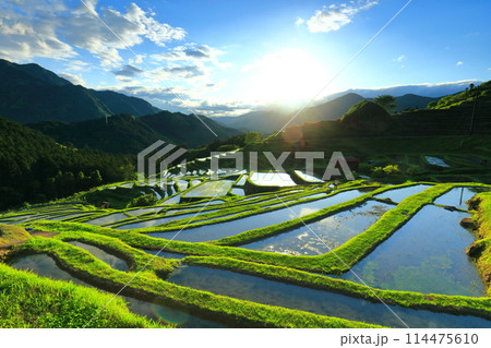 【三重県】田植え時期の丸山千枚田 114475610