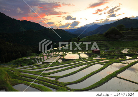 【三重県】田植え時期の丸山千枚田の黄昏 【三重県】田植え時期の丸山千枚田の黄昏 114475624
