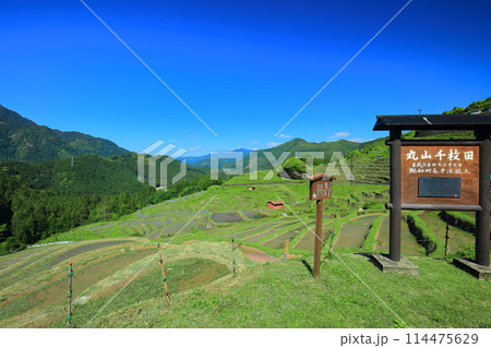 【三重県】田植え時期の丸山千枚田 【三重県】田植え時期の丸山千枚田 114475629