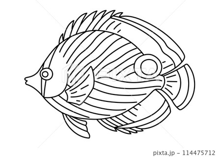 Tropical Fish Hand Drawn line art Coloring page 114475712