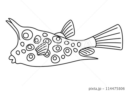 Tropical Fish Hand Drawn line art Coloring page 114475806