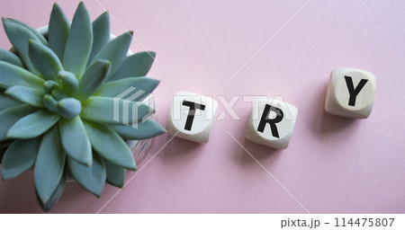Try symbol. Wooden cubes with word Try. Beautiful pink background with succulent plant. Business and Try concept. Copy space. Try symbol. Wooden cubes with word Try. Beautiful pink background with succulent plant. Business and Try concept. Copy space. 114475807