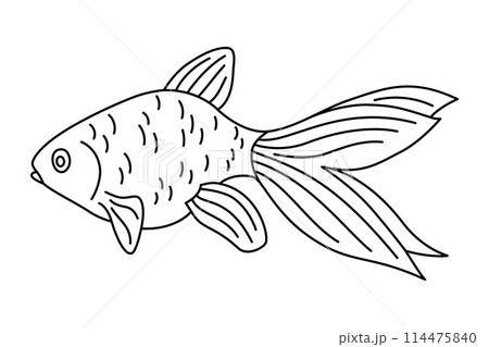 Tropical Fish Hand Drawn line art Coloring page 114475840