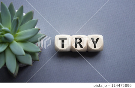 Try symbol. Wooden cubes with word Try. Beautiful grey background with succulent plant. Business and Try concept. Copy space. Try symbol. Wooden cubes with word Try. Beautiful grey background with succulent plant. Business and Try concept. Copy space. 114475896