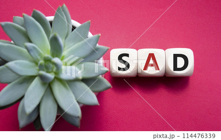 Sad symbol. Wooden cubes with words Sad. Beautiful red background with succulent plant. Business and Sad concept. Copy space. Sad symbol. Wooden cubes with words Sad. Beautiful red background with succulent plant. Business and Sad concept. Copy space. 114476339