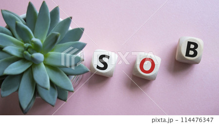 SOB - Shortness of breath symbol. Wooden cubes with words SOB. Beautiful pink background with succulent plant. Medical and SOB concept. Copy space. SOB - Shortness of breath symbol. Wooden cubes with words SOB. Beautiful pink background with succulent plant. Medical and SOB concept. Copy space. 114476347