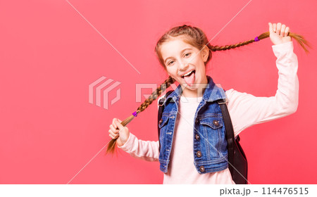 Portrait of smiling young little girl with two french braides on pink background Portrait of smiling young little girl with two french braides on pink background 114476515