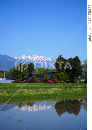 安曇野の春　田園と北アルプス 114476872