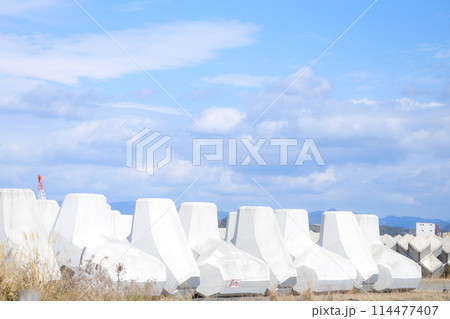 埠頭に置かれたテトラポット 埠頭に置かれたテトラポット 114477407