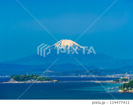 富士山と湘南海岸　春景 114477411