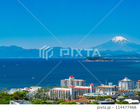 富士山と湘南海岸　春景 114477466