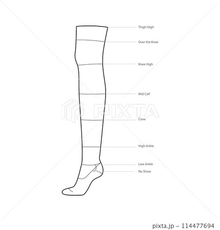 Diagrams of sock length with text names. Hosiery Fashion accessory clothing technical illustration stocking. Vector side 114477694