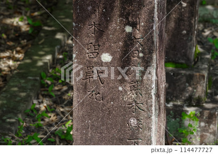 西南戦争の官軍兵士のお墓（七本官軍墓地） 114477727