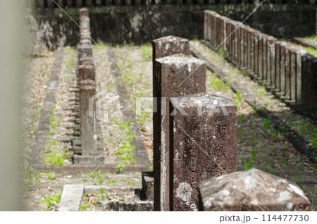 西南戦争の官軍兵士のお墓(七本官軍墓地) 西南戦争の官軍兵士のお墓(七本官軍墓地) 114477730