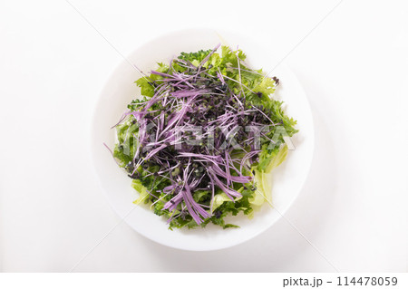 レッドキャベツ スプラウト サラダ レッドキャベツ スプラウト サラダ 114478059