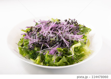 レッドキャベツ　スプラウト　サラダ 114478060