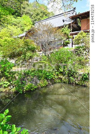 龍穏寺 境内 春 新緑の季節 越生町 龍穏寺 境内 春 新緑の季節 越生町 114478258