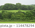 北海道の風景 114478294