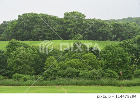 北海道の風景 北海道の風景 114478294