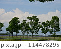 北海道の風景 114478295