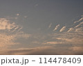 北海道の風景 114478409