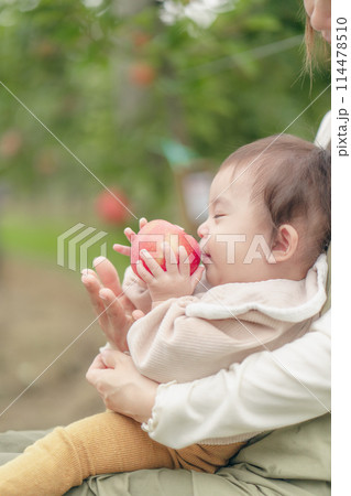 りんご狩り　ファミリー 114478510